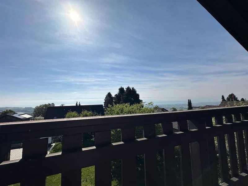 Detached house just two steps from the village center and in absolute calm (7)