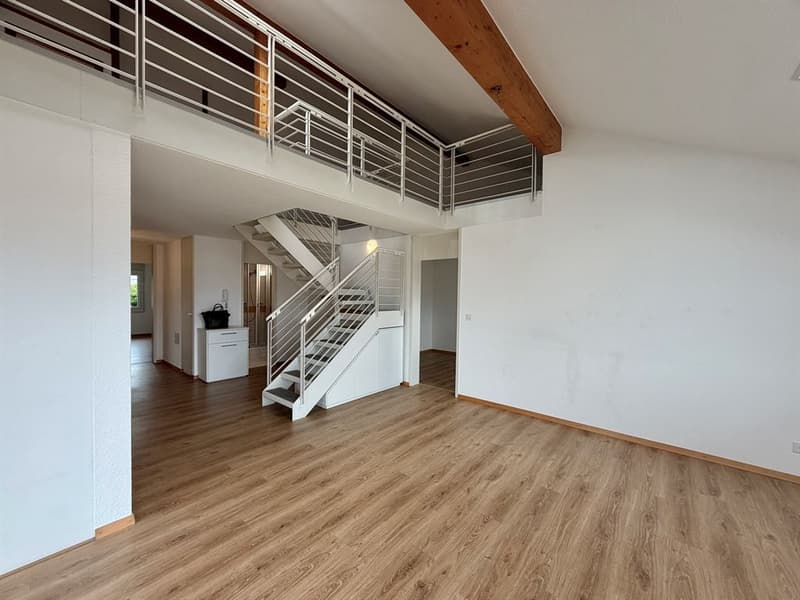 Large 5-bedroom attic duplex (5)