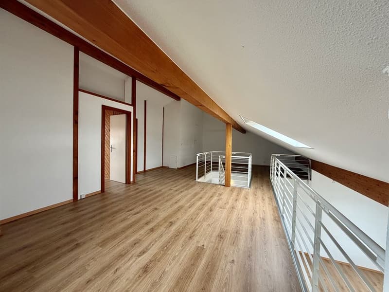 Large 5-bedroom attic duplex (11)