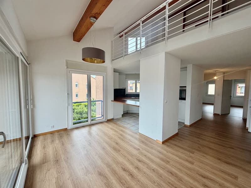 Large 5-bedroom attic duplex (6)