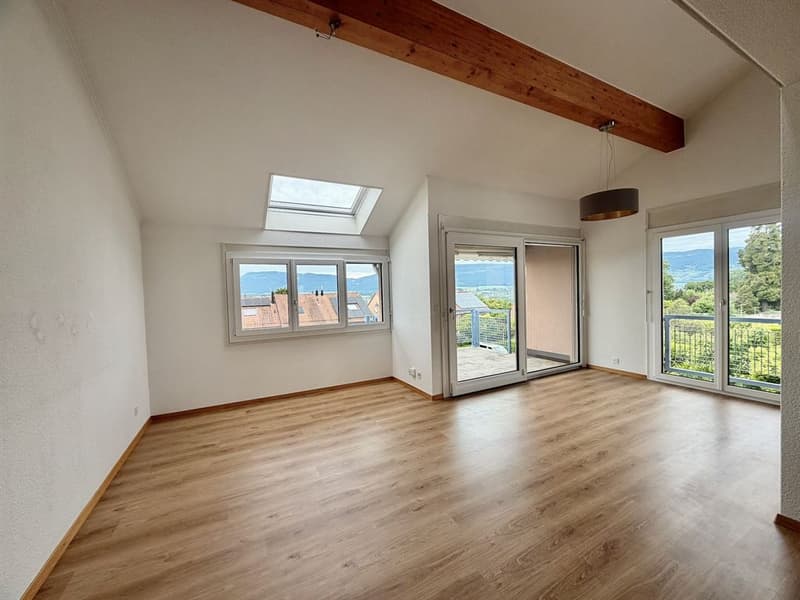 Large 5-bedroom attic duplex (4)