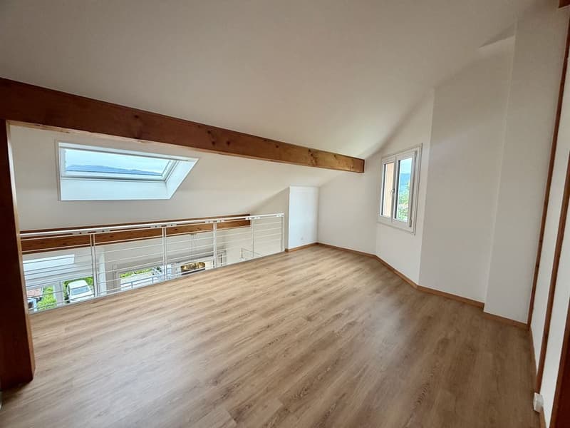 Large 5-bedroom attic duplex (12)