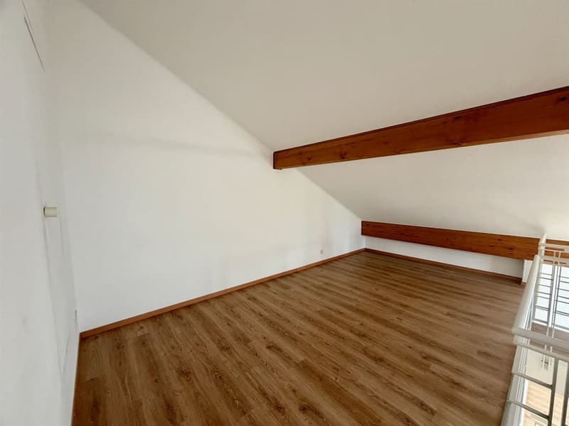 Large 5-bedroom attic duplex (13)