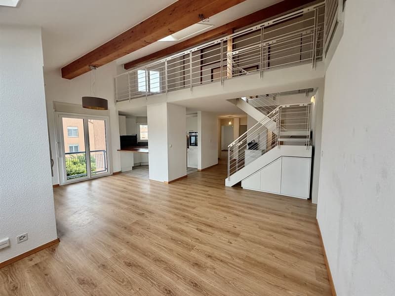 Large 5-bedroom attic duplex (3)