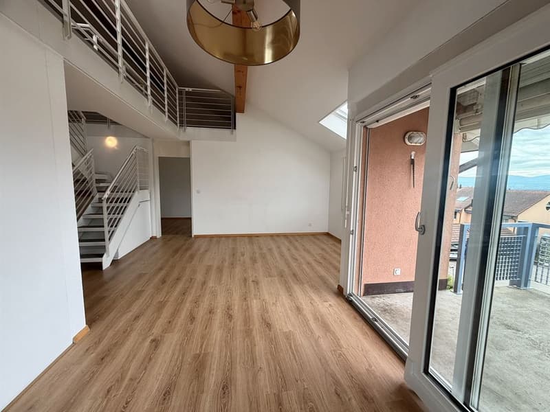 Large 5-bedroom attic duplex (7)
