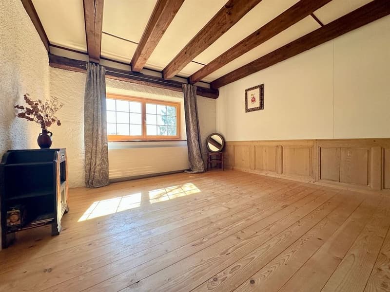 Renovated character farm with 2'900 m² of land - 15 minutes from the highway (7)