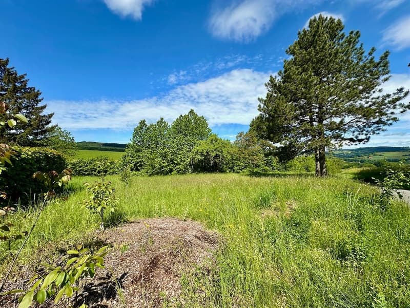 Renovated character farm with 2'900 m² of land - 15 minutes from the highway (10)