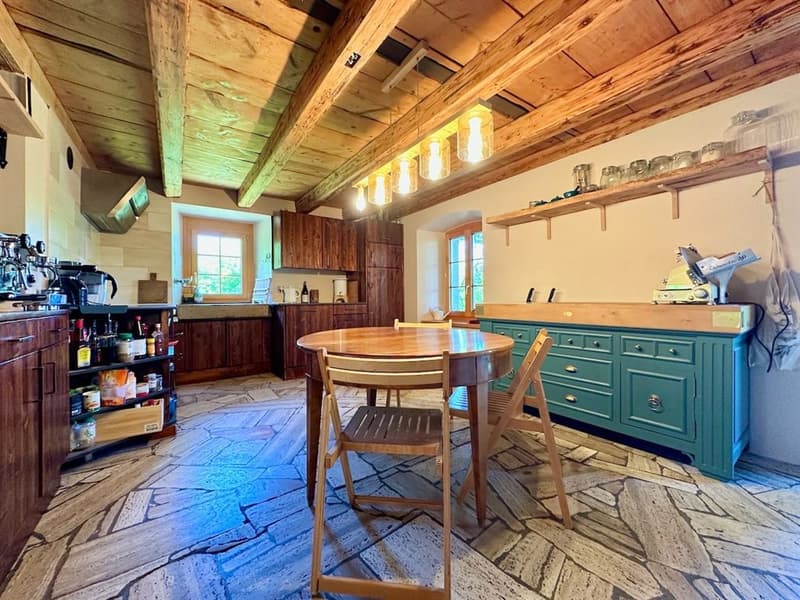 Renovated character farm with 2'900 m² of land - 15 minutes from the highway (3)