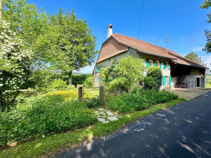 Renovated character farm with 2'900 m² of land - 15 minutes from the highway (9)