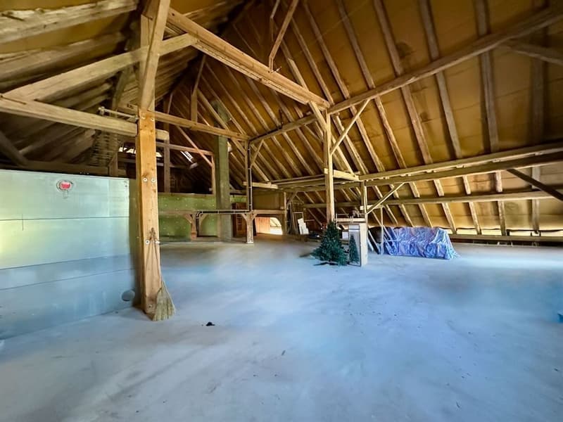 Renovated character farm with 2'900 m² of land - 15 minutes from the highway (8)