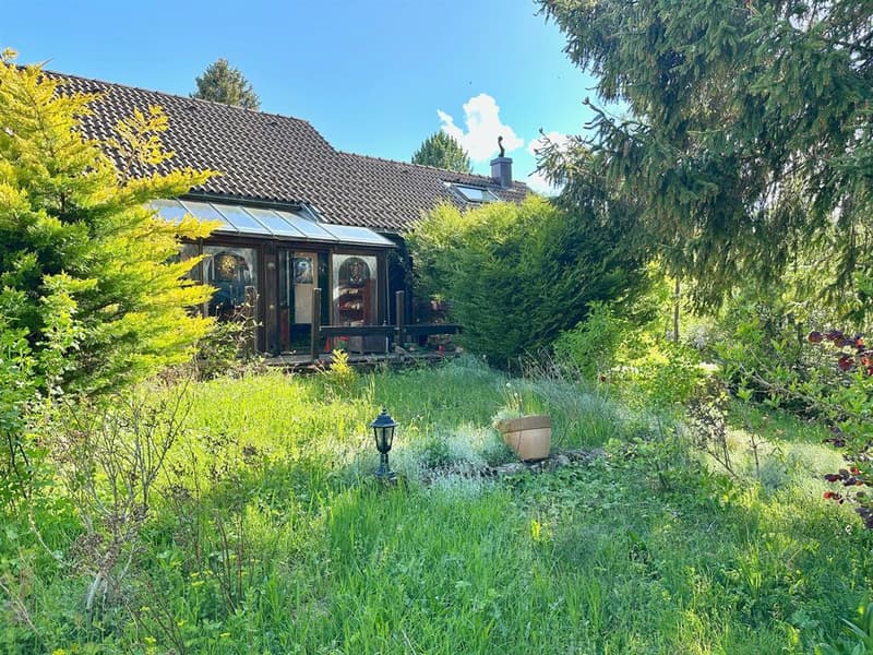 Charming cozy chalet with south-facing terrace, garage, and authentic character (2)