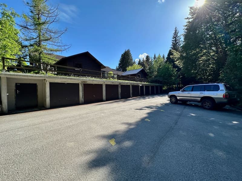 Charming cozy chalet with south-facing terrace, garage, and authentic character (11)