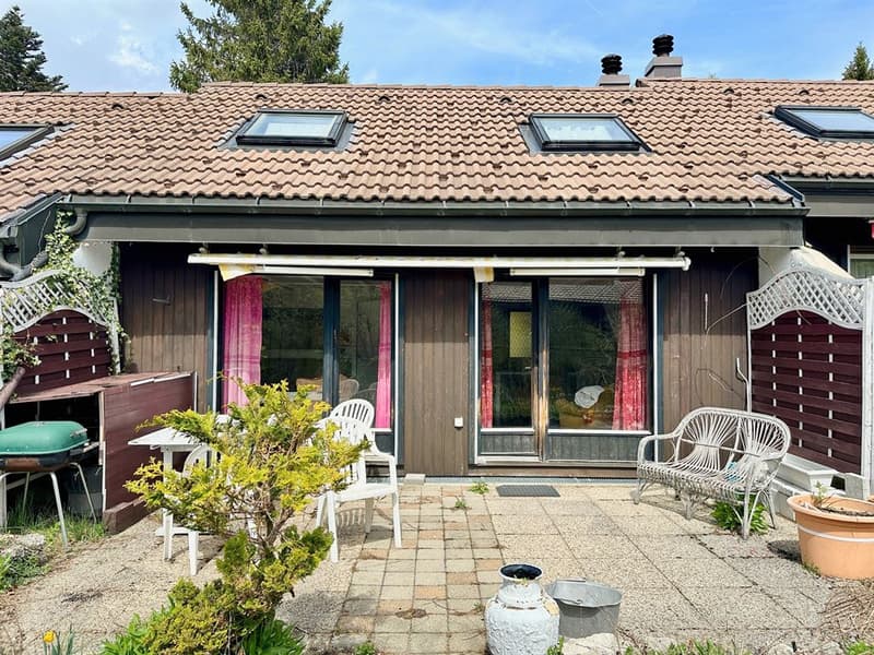 Charming cozy chalet with south-facing terrace, garage, and authentic character (1)