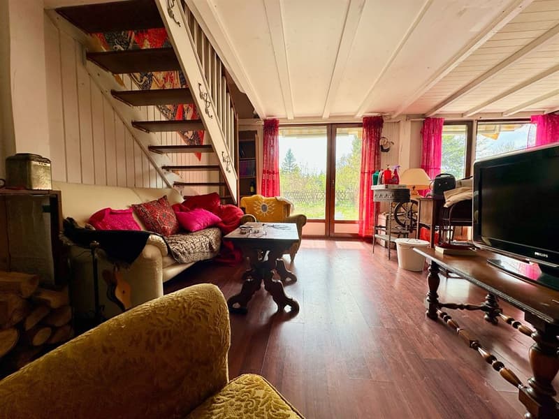 Charming cozy chalet with south-facing terrace, garage, and authentic character (3)