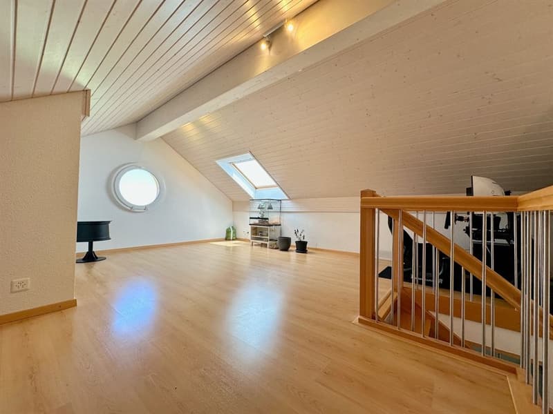 Beautifully renovated villa with panoramic views of the Alps (10)
