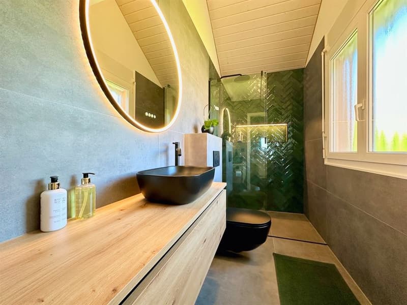 Beautifully renovated villa with panoramic views of the Alps (8)