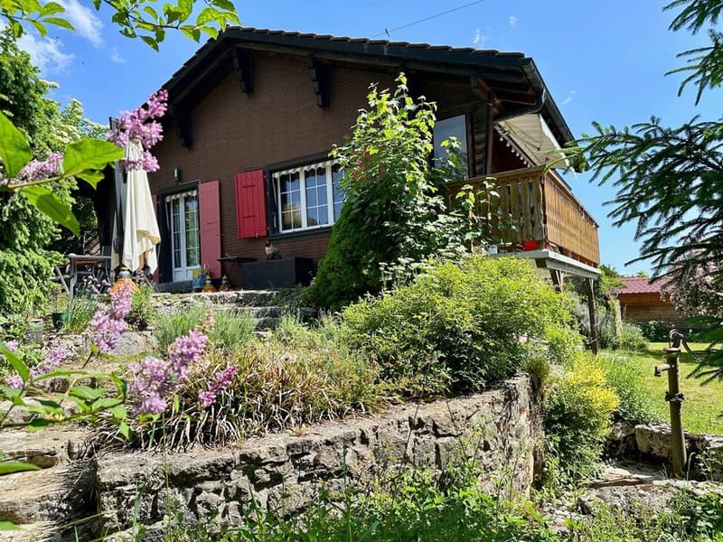 Charming with Alpine panorama, absolute calm and privileged natural setting (1)