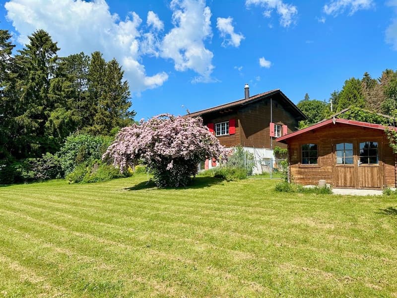 Charming with Alpine panorama, absolute calm and privileged natural setting (3)