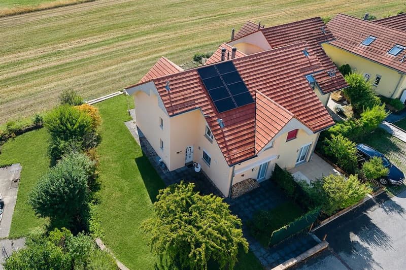 Superbe villa rénovée avec vue panoramique sur les Alpes (12)