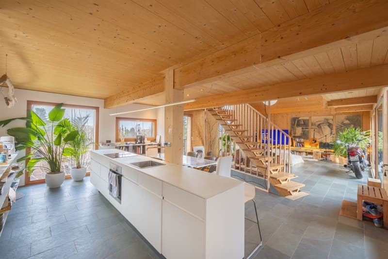 Villa d'architecte d'architecte unique proche de la forêt (4)