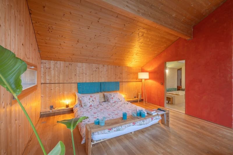 Villa d'architecte d'architecte unique proche de la forêt (5)