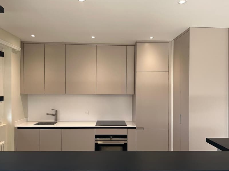 Beautiful 2.5-room apartment completely renovated (3)