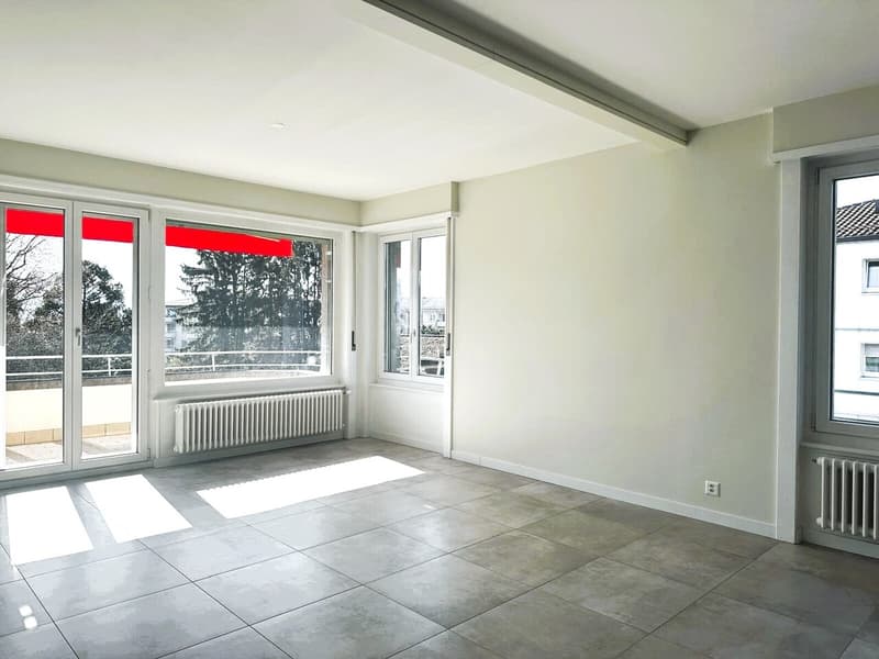 Beautiful 2.5-room apartment completely renovated (5)
