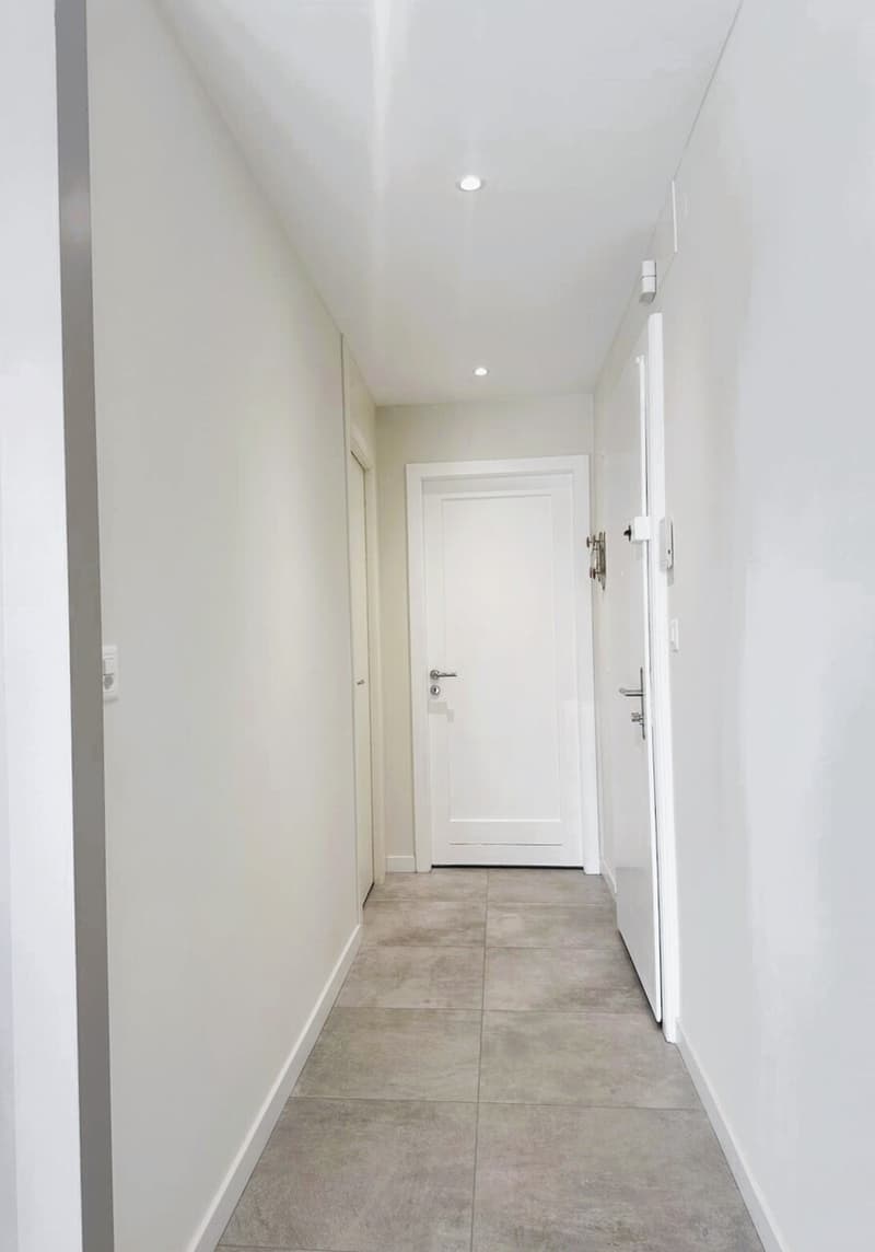 Beautiful 2.5-room apartment completely renovated (10)