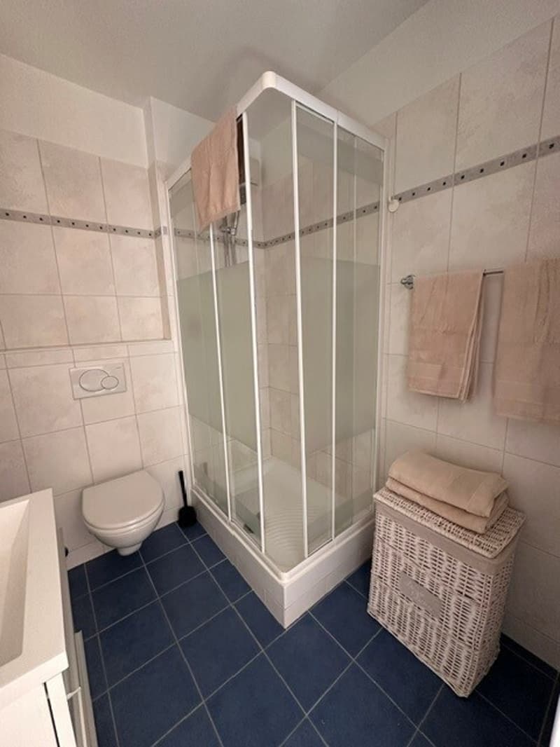 Beautiful furnished apartment with 2.5 rooms, lake and mountain view (5)