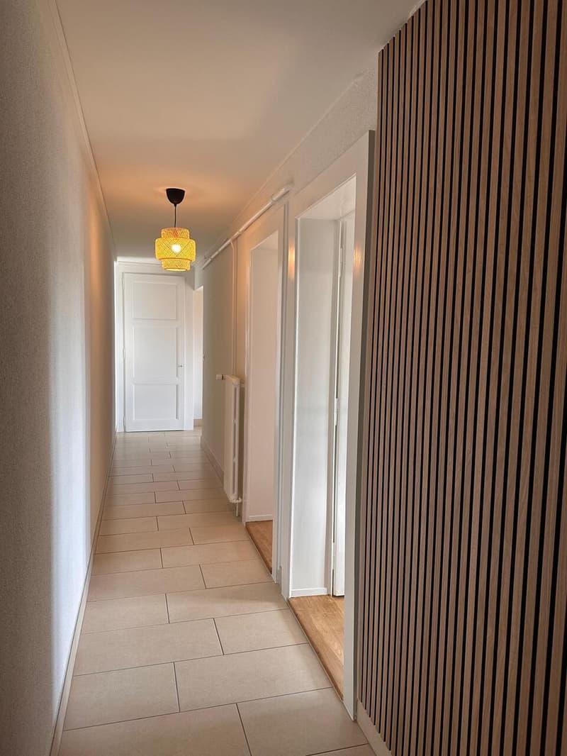 Beautiful furnished apartment with 2.5 rooms, lake and mountain view (3)
