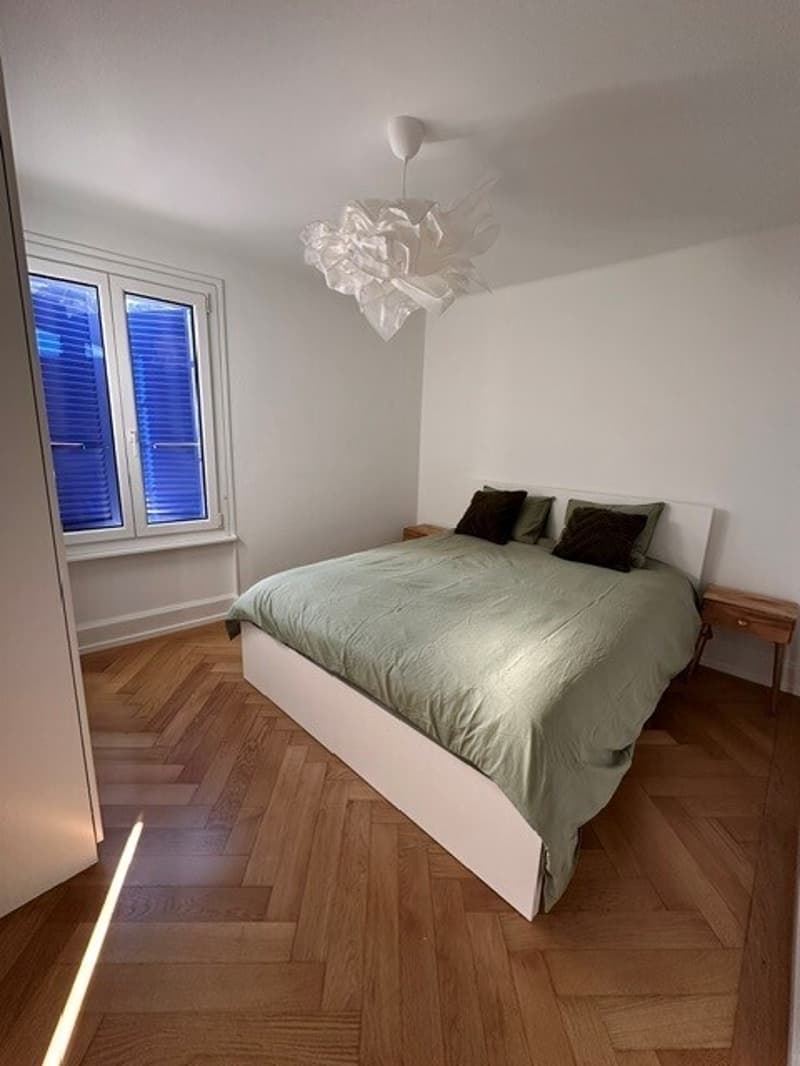 Beautiful furnished apartment with 2.5 rooms, lake and mountain view (4)