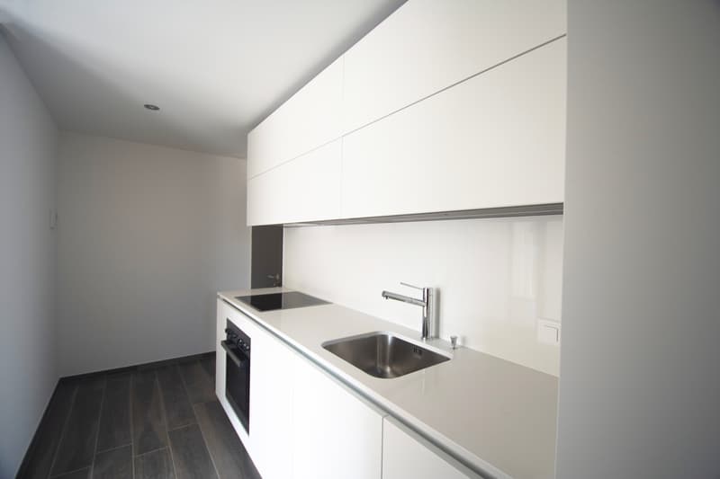 Modern 2.5-room apartment on the lower ground floor (2)
