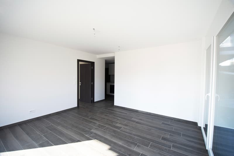 Modern 2.5-room apartment on the lower ground floor (4)