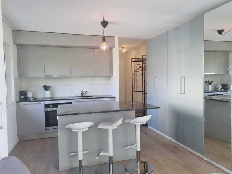 New furnished studio in new building (4)