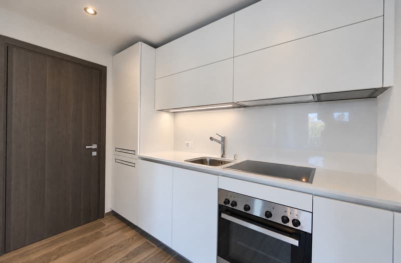 Magnifique appartement de 2.5 pièces avec finitions haut de gamme (2)