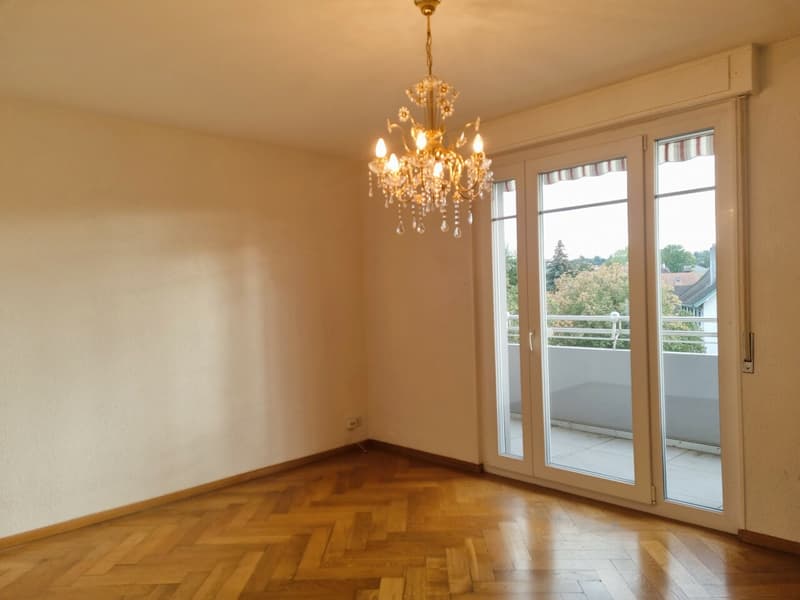 Magnifique appartement de 3.5 pièces (3)