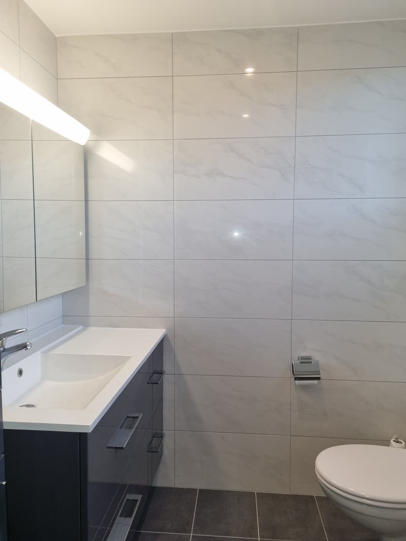 Magnifique appartement de 3.5 pièces (7)