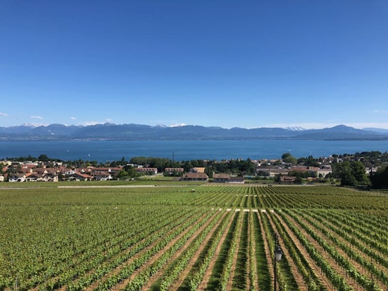 Attique avec vue panoramique sur le lac et le Mont-Blanc (1)