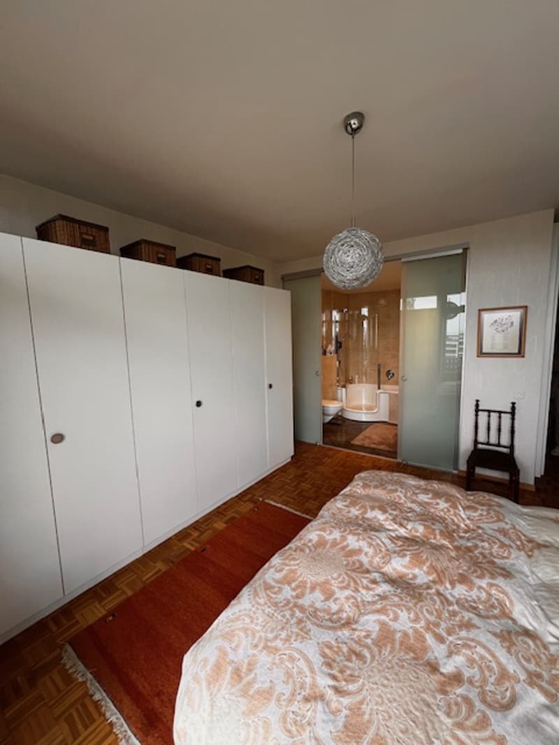 Bellissimo appartamento in viager a Petit-Saconnex con vista lago e getto di Ginevra (11)