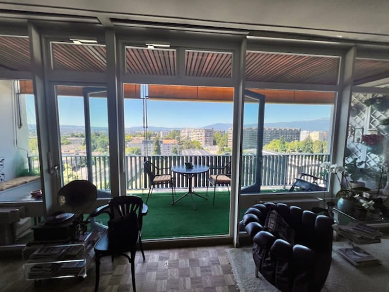 Bellissimo appartamento in viager a Petit-Saconnex con vista lago e getto di Ginevra (7)