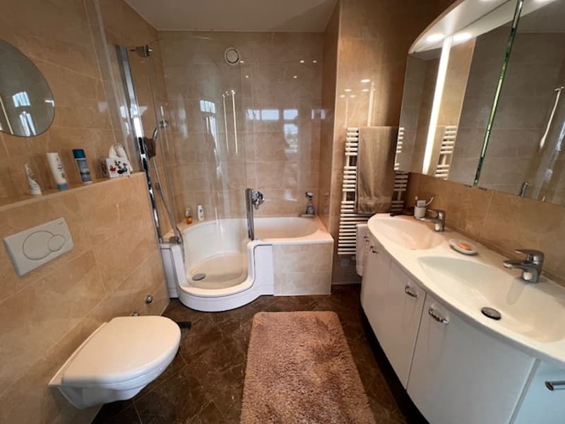 Bellissimo appartamento in viager a Petit-Saconnex con vista lago e getto di Ginevra (12)