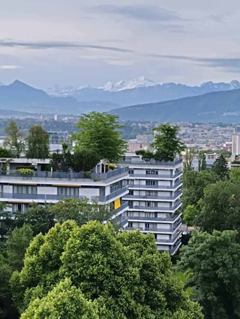 Très bel appartement en viager au Petit-Saconnex avec vue lac et jet de Genève (1)