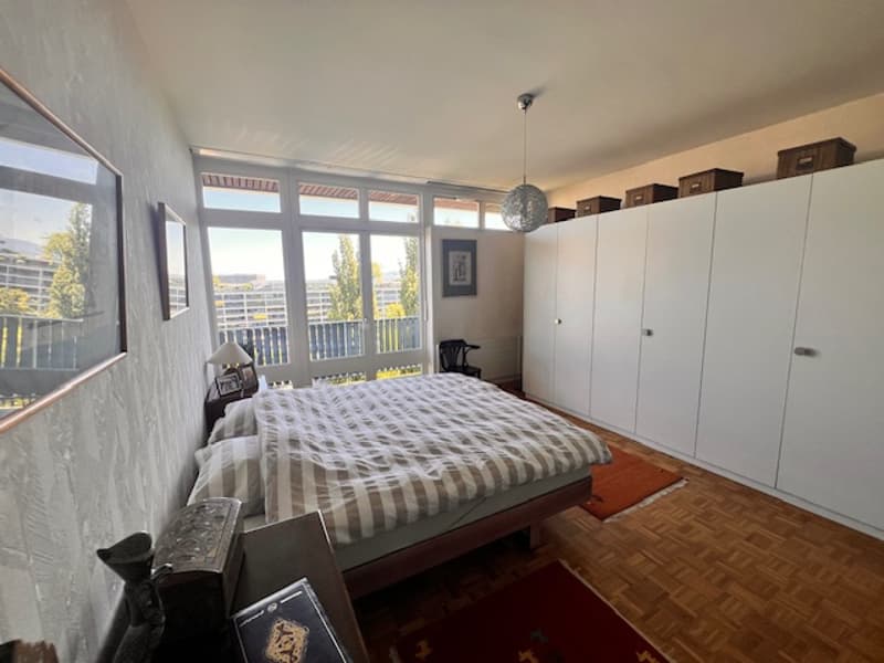Bellissimo appartamento in viager a Petit-Saconnex con vista lago e getto di Ginevra (10)