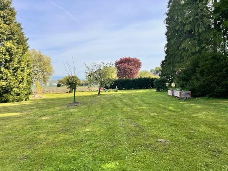 Grande casa di villaggio in vitalizio nella campagna ginevrina di Satigny (5)