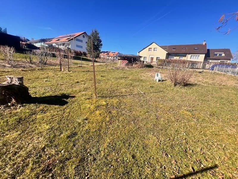 Village house in viager with possibility to renovate the lower apartment (3)