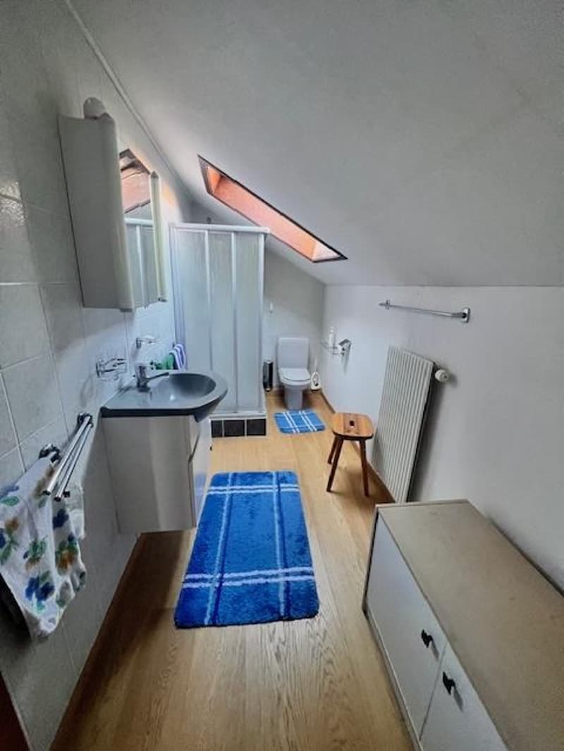 House in viager in Gimel (9)