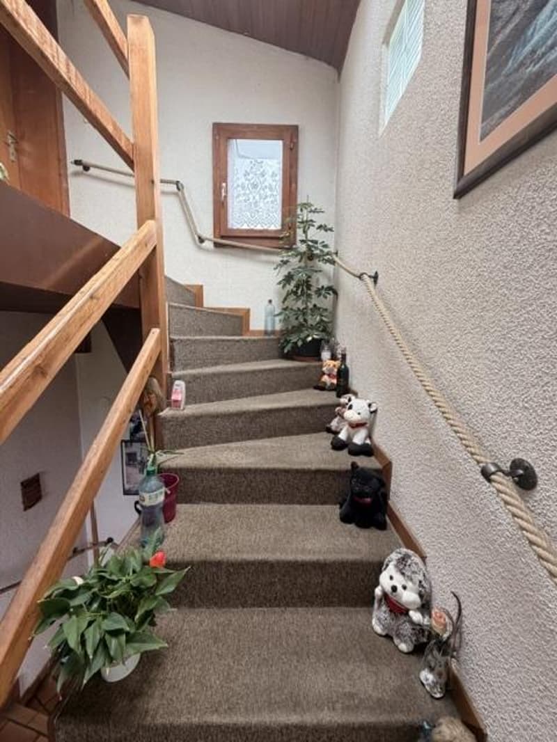 House in viager in Gimel (6)