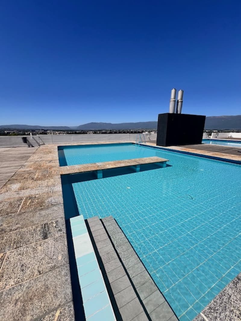 Very beautiful apartment with lake view in lifetime lease in Geneva (2)