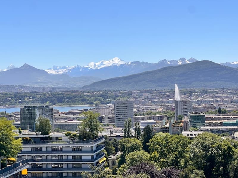 Very beautiful apartment with lake view in lifetime lease in Geneva (1)