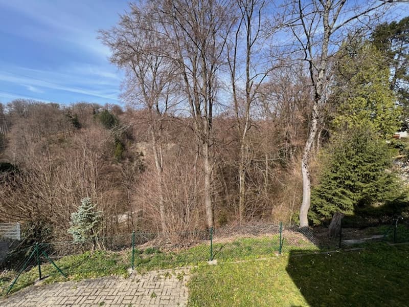 House with two apartments in viager, semi-occupied, in Lausanne Vennes (3)